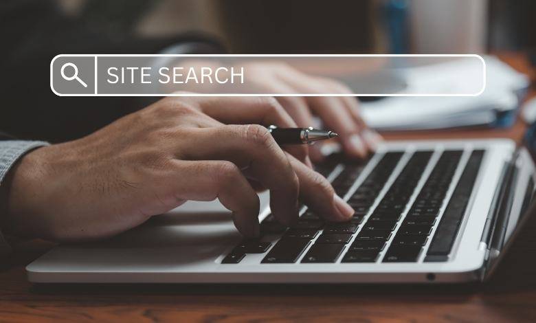 What is Site Search